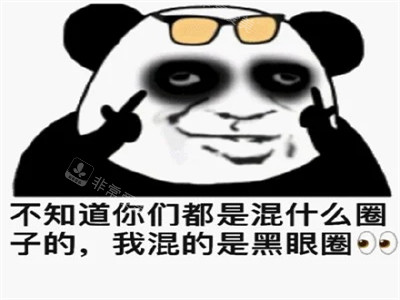 黑眼圈熊貓頭表情包 黑眼圈熊貓頭表情包