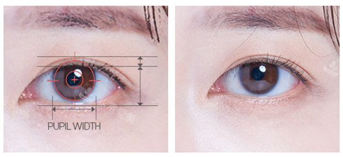 眼部美学数据图示