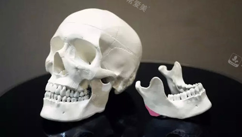 韩国NJH卢钟勋整形外科轮廓模型展示