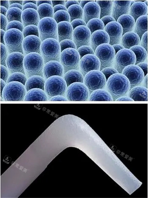 假體細(xì)分子圖 假體細(xì)分子圖