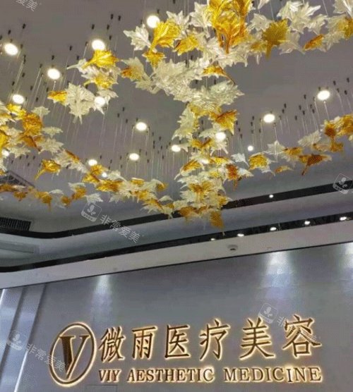 佛山微雨醫(yī)療整形醫(yī)院logo墻