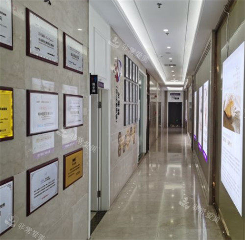 合肥艾雅醫(yī)療美容展示墻 合肥艾雅醫(yī)療美容展示墻