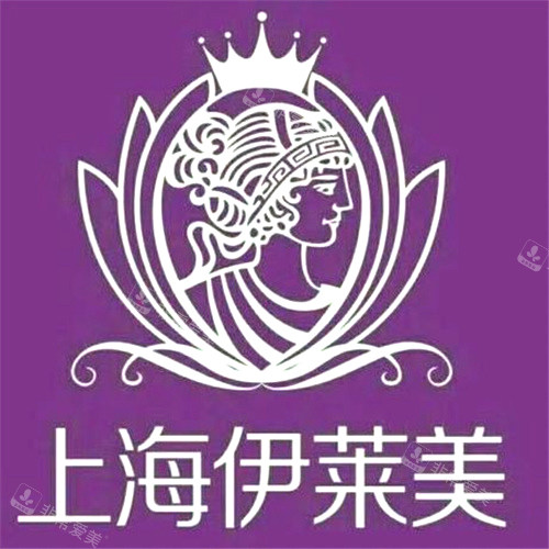 上海伊萊美醫(yī)療美容logo 上海伊萊美醫(yī)療美容logo