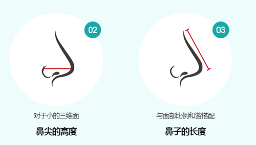 鼻子整形設(shè)計(jì)標(biāo)準(zhǔn)圖示1 鼻子整形設(shè)計(jì)標(biāo)準(zhǔn)圖示1