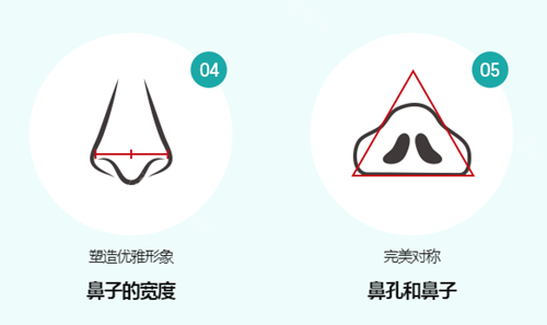 鼻子整形設(shè)計(jì)標(biāo)準(zhǔn)圖示2 鼻子整形設(shè)計(jì)標(biāo)準(zhǔn)圖示2