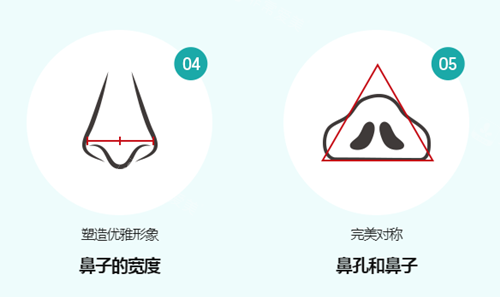 鼻子整形設(shè)計標(biāo)準(zhǔn)圖示2