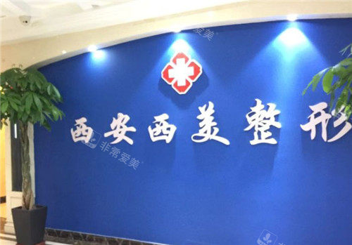 西安西美整形外科logo墙 西安西美整形外科logo墙