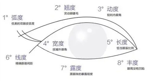 雙眼皮角度示意圖 雙眼皮角度示意圖
