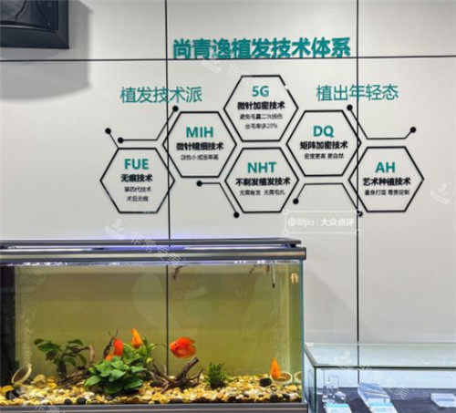 東莞青逸植發(fā)宣傳墻 東莞青逸植發(fā)宣傳墻