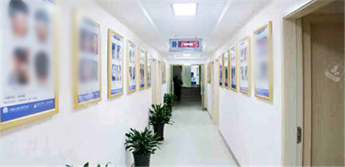 上海东方丽人医疗美容走廊环境
