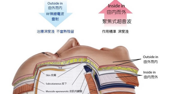 面部皮肤结构图