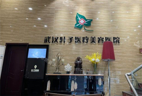 武漢葉子整形logo墻 武漢葉子整形logo墻