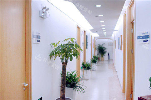 北京丰联丽格医疗美容走廊环境