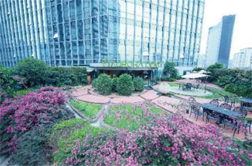 成都極光口腔空中花園 成都極光口腔空中花園