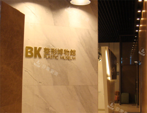 韓國(guó)BK整形博物館圖 韓國(guó)BK整形博物館圖