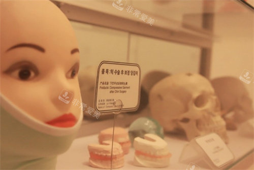 韓國(guó)BK整形輪廓模型圖 韓國(guó)BK整形輪廓模型圖