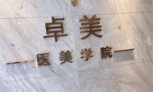 武漢卓美醫(yī)療整形logo墻