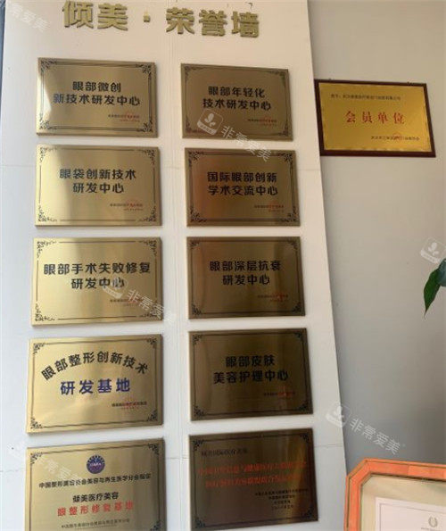 武漢傾美醫(yī)療美容榮譽(yù)墻 武漢傾美醫(yī)療美容榮譽(yù)墻