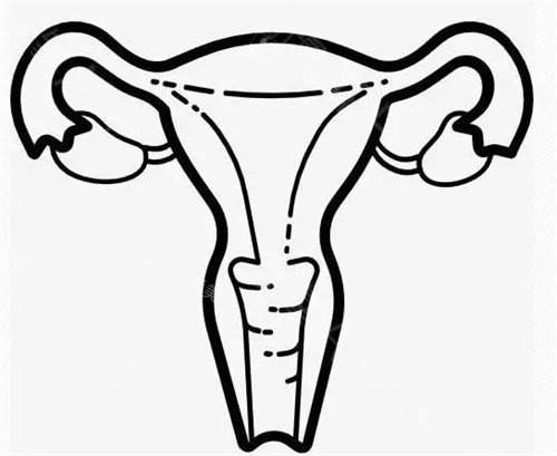 女性私处动画参考图 女性私处动画参考图