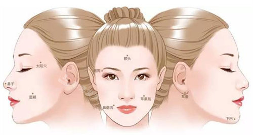面部組織結(jié)構(gòu)動(dòng)畫圖 面部組織結(jié)構(gòu)動(dòng)畫圖
