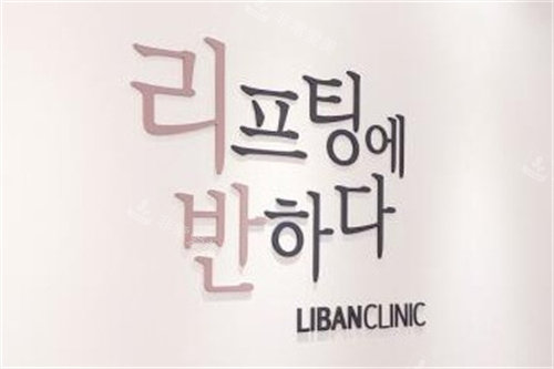 韓國儷伴整形標(biāo)識圖
