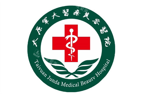 太原軍大整形logo