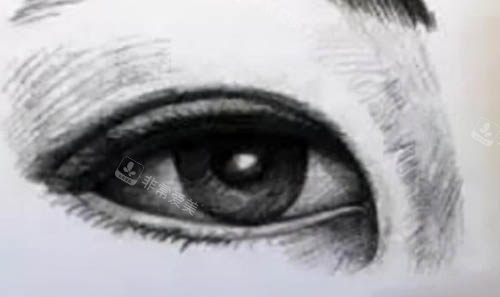 眼部素描图 眼部素描图