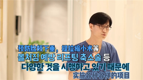 李泰喜院長講解面部提升手術(shù)圖示