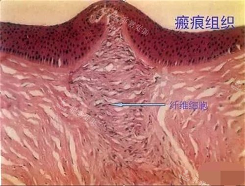 广东药科大学附属第三医院正规吗？医院特色与优势分享!