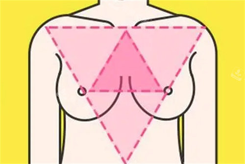 胸部形态图