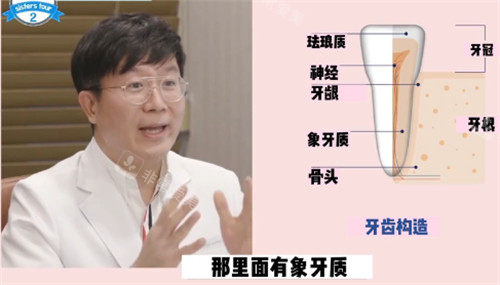 minish牙科医生分析牙齿情况 minish牙科医生分析牙齿情况