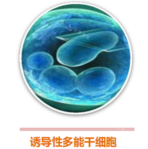 诱导性多能stem cell