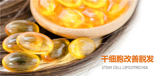 stem cell改善脱发宣传图