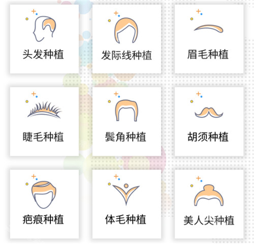 植發(fā)項(xiàng)目展示 植發(fā)項(xiàng)目展示