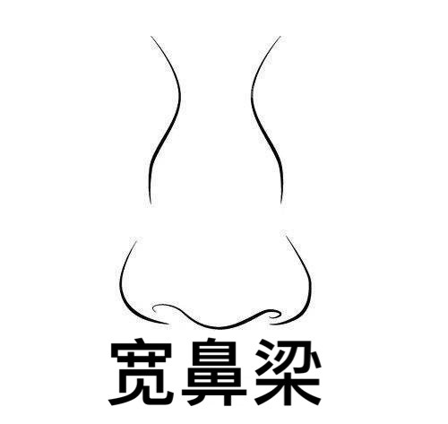 寬鼻梁示意圖 寬鼻梁示意圖