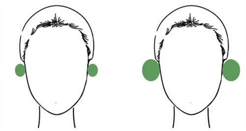 不同大小的耳朵对比图