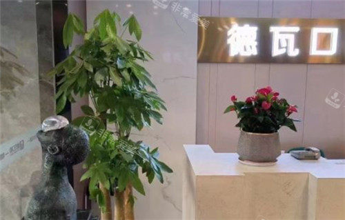 德瓦口腔環(huán)境圖 德瓦口腔環(huán)境圖