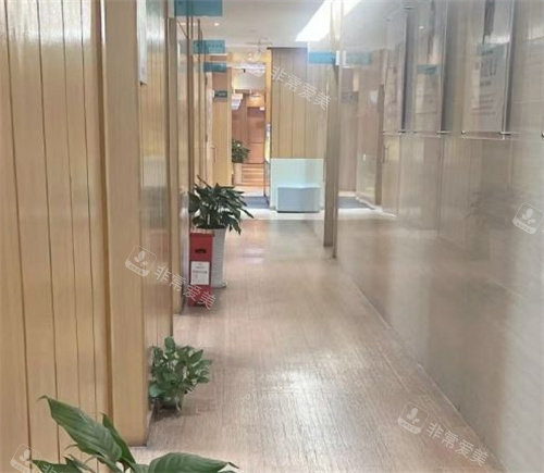 成都紐萊茵整形醫(yī)院走廊 成都紐萊茵整形醫(yī)院走廊