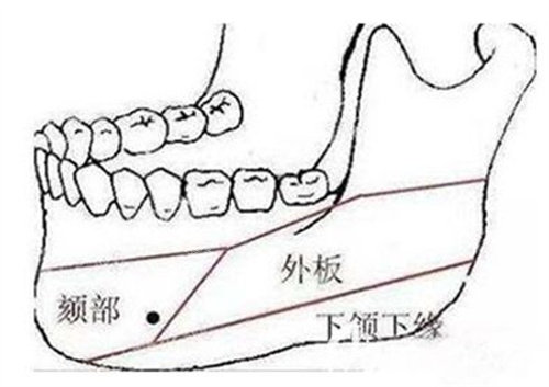 輪廓展示圖