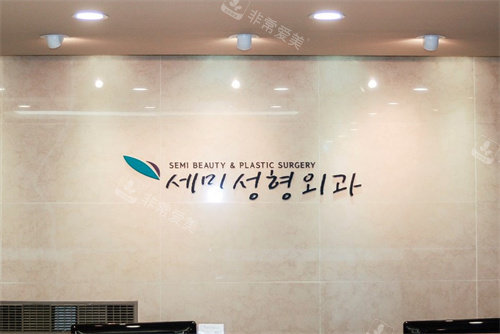 韩国世美整形外科logo