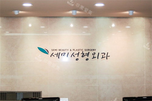 韓國世美整形外科logo 韓國世美整形外科logo