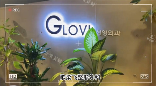 韓國歌柔飛整形外科