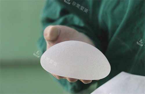 圓形假體實例圖