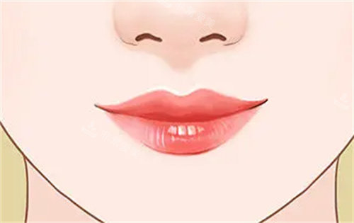 年轻唇部形态动画图