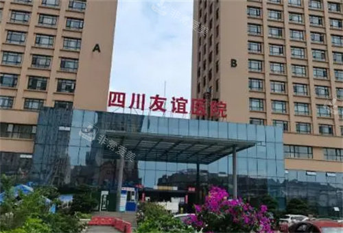 成都友谊医院大门 成都友谊医院大门