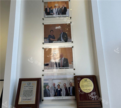 韓國MD整形展示墻