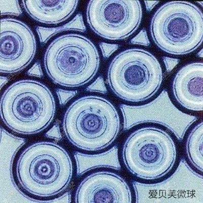 愛貝芙顯微鏡圖片 愛貝芙顯微鏡圖片