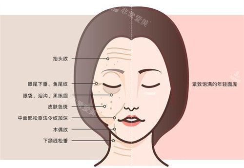 面部衰老与年轻皮肤对比图 面部衰老与年轻皮肤对比图