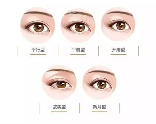 不同眼型圖片 不同眼型圖片