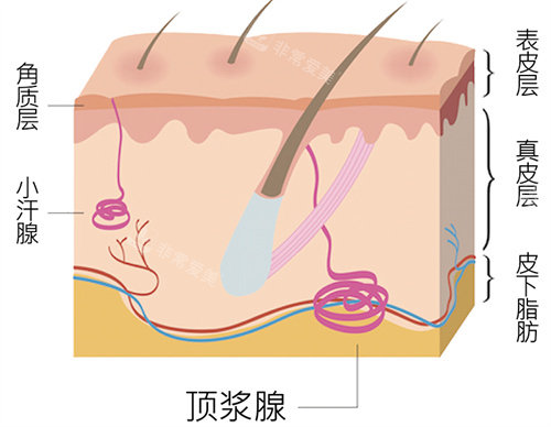 狐臭怎么去除？小伙伴们快看过来！